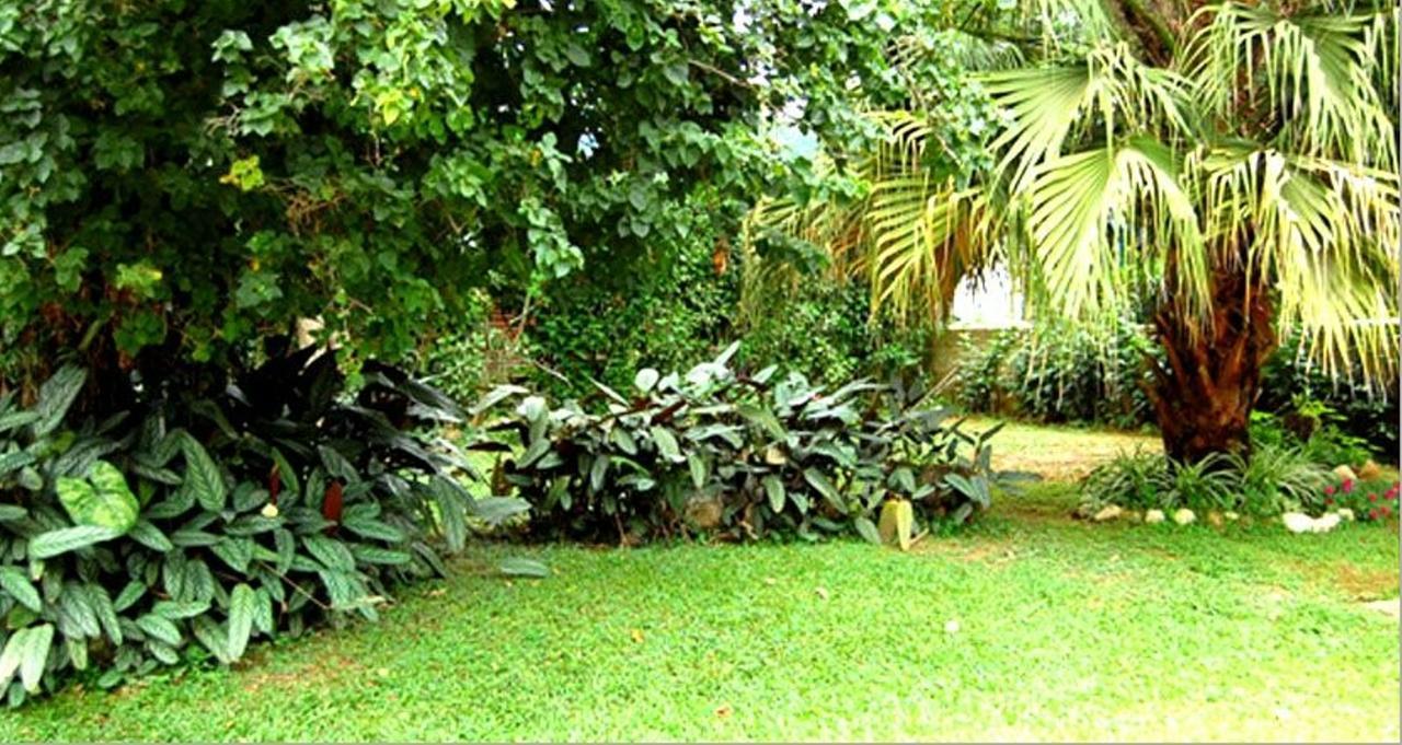 Hotel Primavera Penedo  Esterno foto